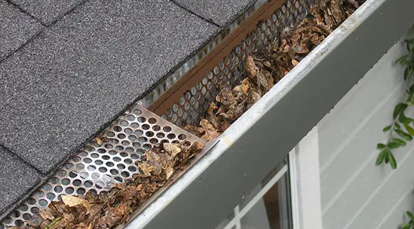 Gutter Cleaning Services in Greater Vancouver