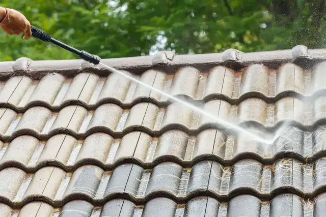 Roof Cleaning Services in Greater Vancouver